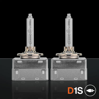 STEDI D1S Xenon HID Umrüstsatz
