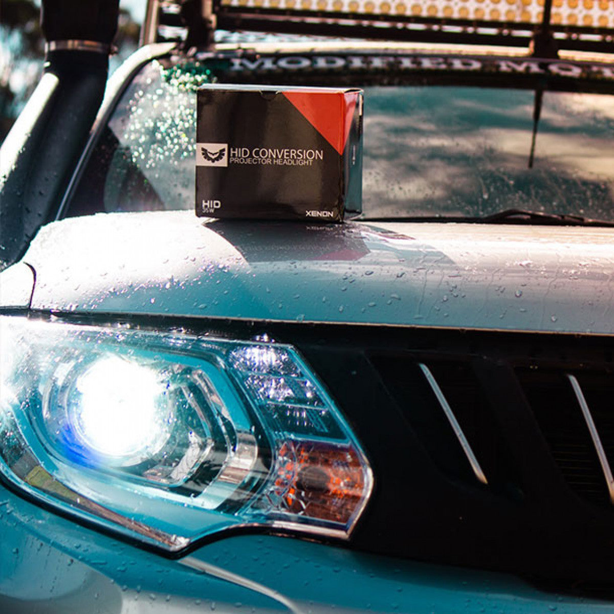 STEDI D5S Xenon HID Umrüstsatz