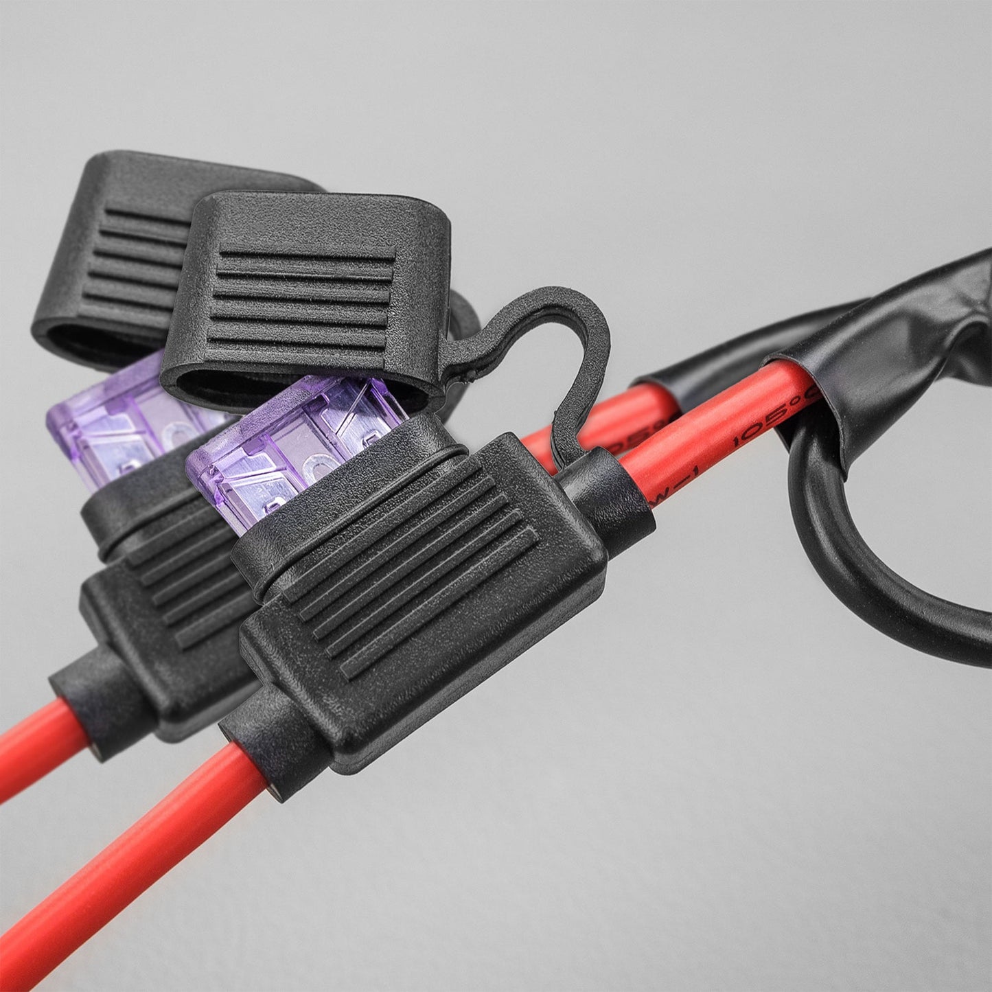 STEDI Plug & Play Dual Fernlicht/Dual Relais – Kabelbaum für DT&DT – P Steckeranschluss