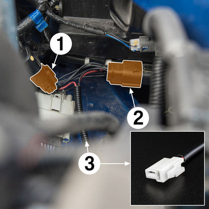 STEDI Ford Ranger & Ranger Raptor (2015 – 2022) Fernlicht Adapter