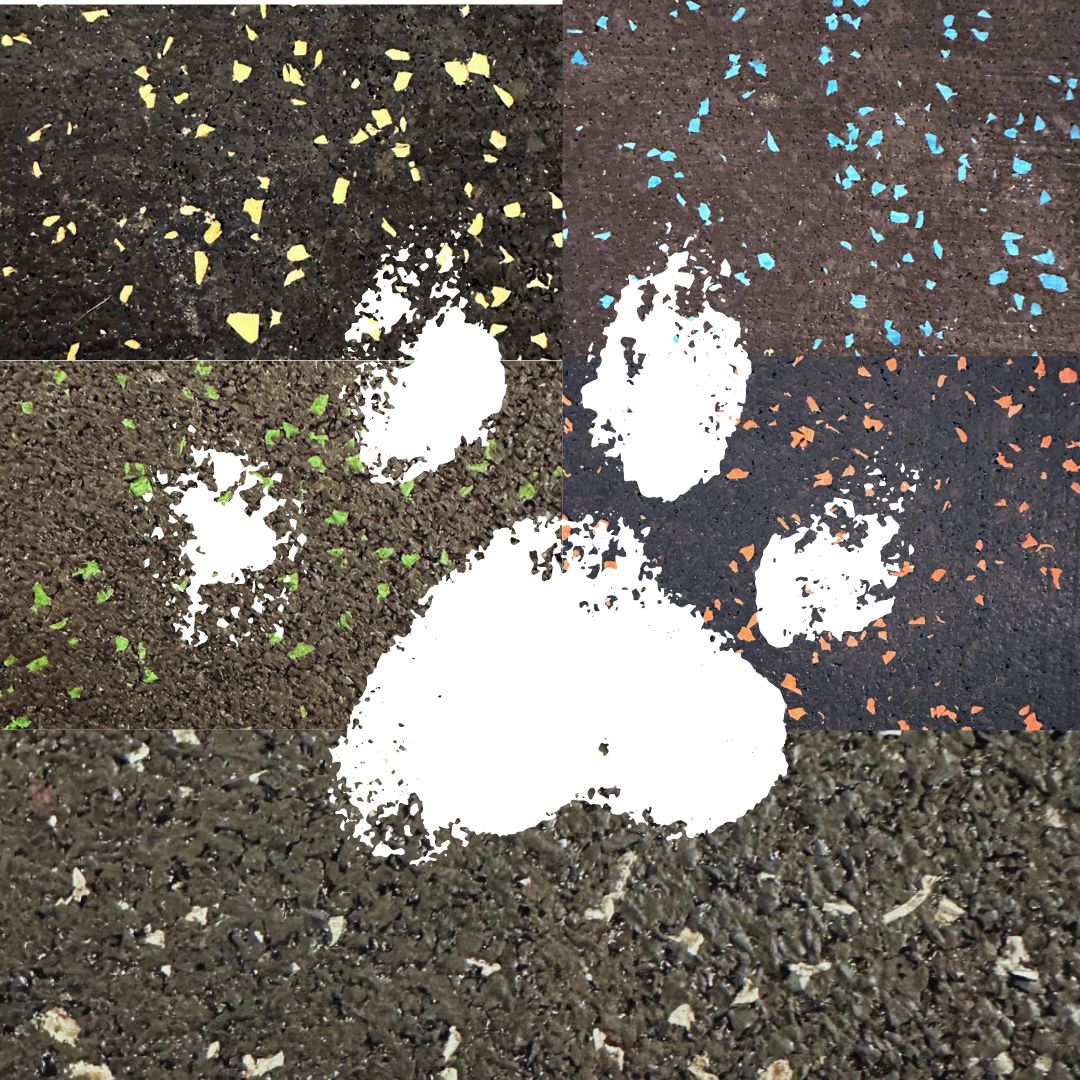 farbiger Sportboden rutschfest, pflegeleicht & individuell zugeschnitten