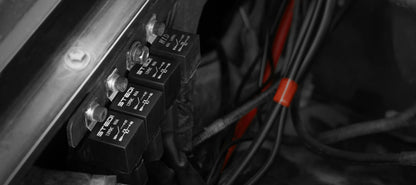 STEDI Plug & Play Single Fernlicht – Kabelbaum für DT&DT – P Steckeranschluss