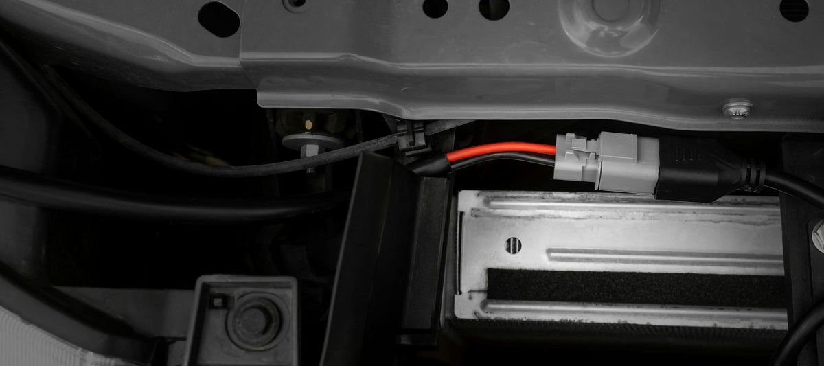 STEDI Plug & Play Single Fernlicht – Kabelbaum für DT&DT – P Steckeranschluss