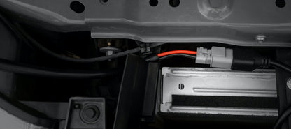 STEDI Plug & Play Dual Fernlicht – Kabelbaum für DT&DT – P Steckeranschluss